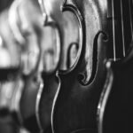 violins, instruments, music, musical instruments, antique, classical music, bowed stringed instruments, classic, sound, vintage, monochrome, black and white, music, music, music, music, music, sound, sound, vintage