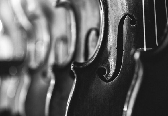 violins, instruments, music, musical instruments, antique, classical music, bowed stringed instruments, classic, sound, vintage, monochrome, black and white, music, music, music, music, music, sound, sound, vintage